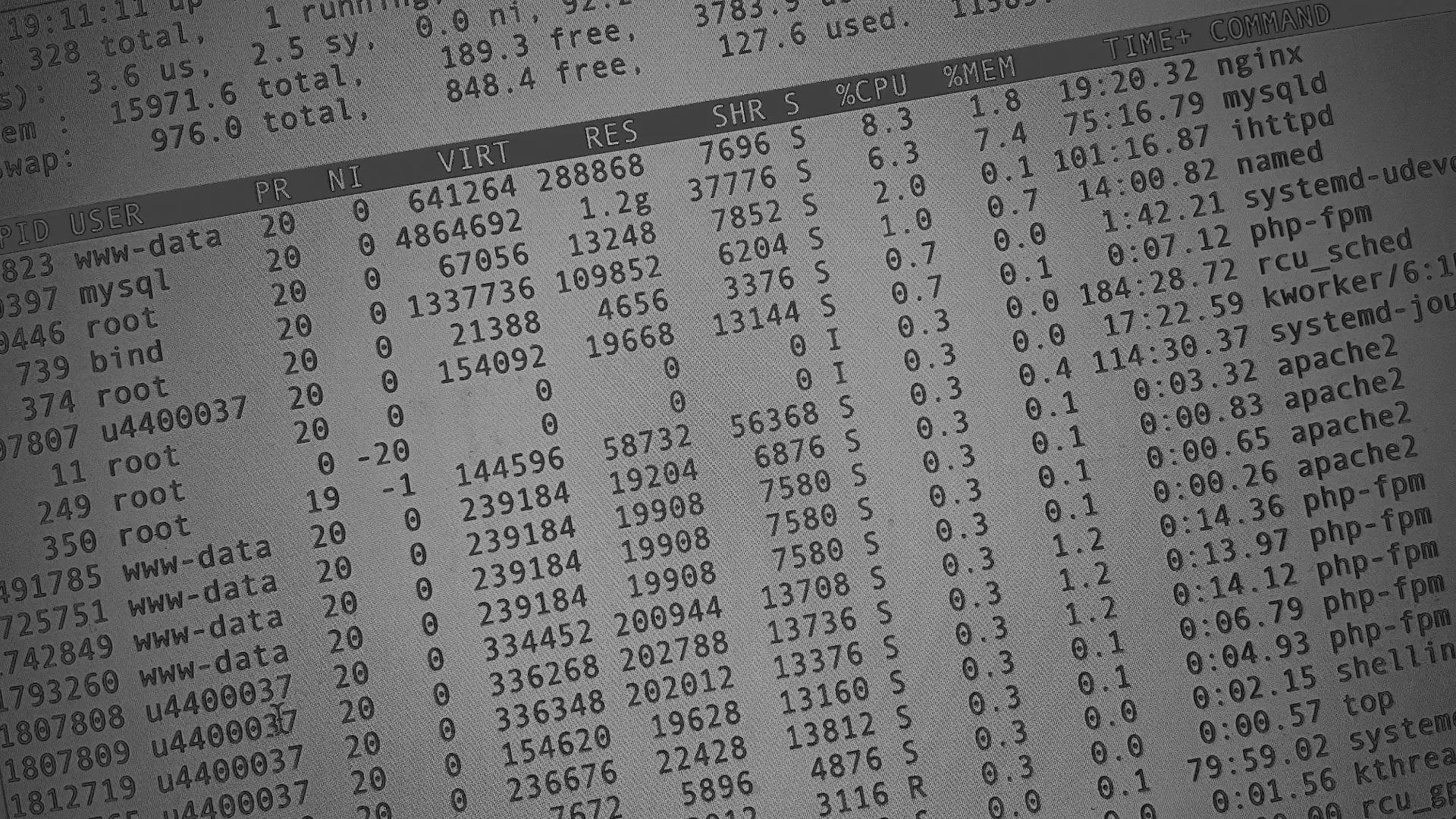 Настройка сервера в Боровске