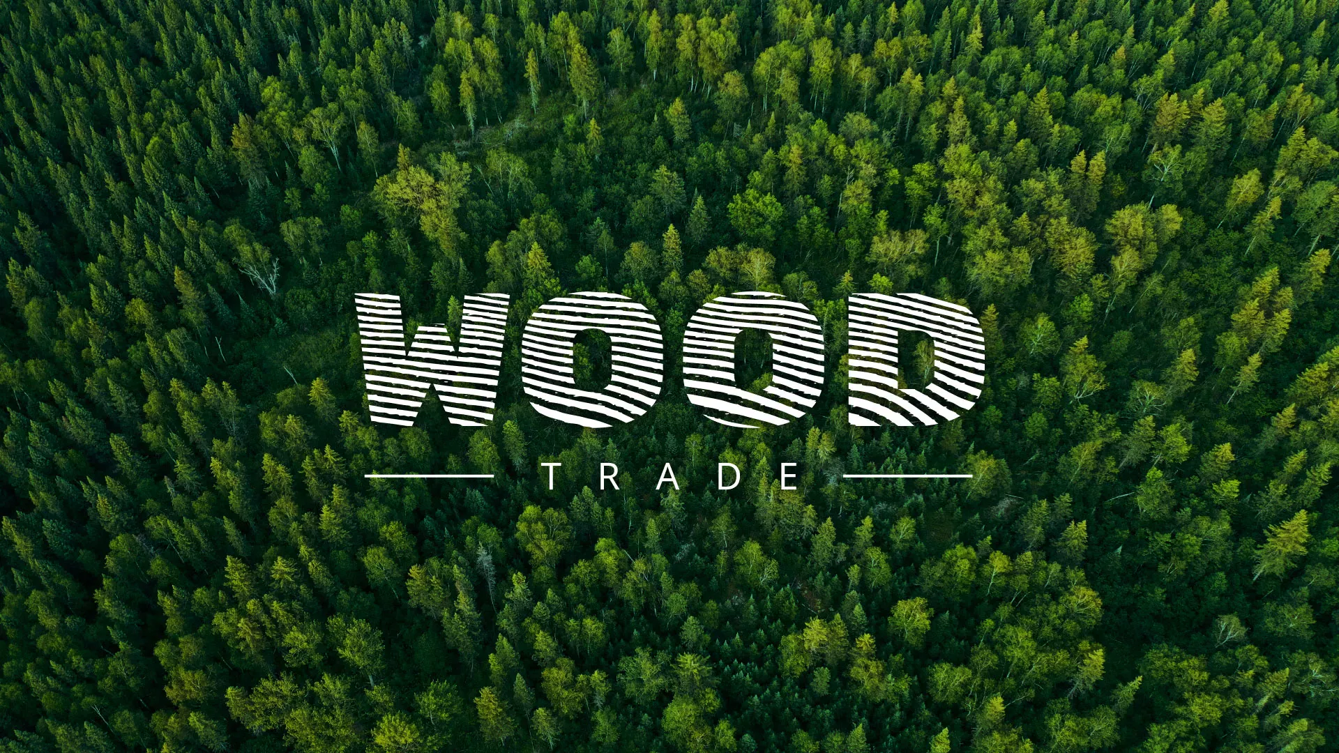 Разработка интернет-магазина компании «Wood Trade» в Боровске