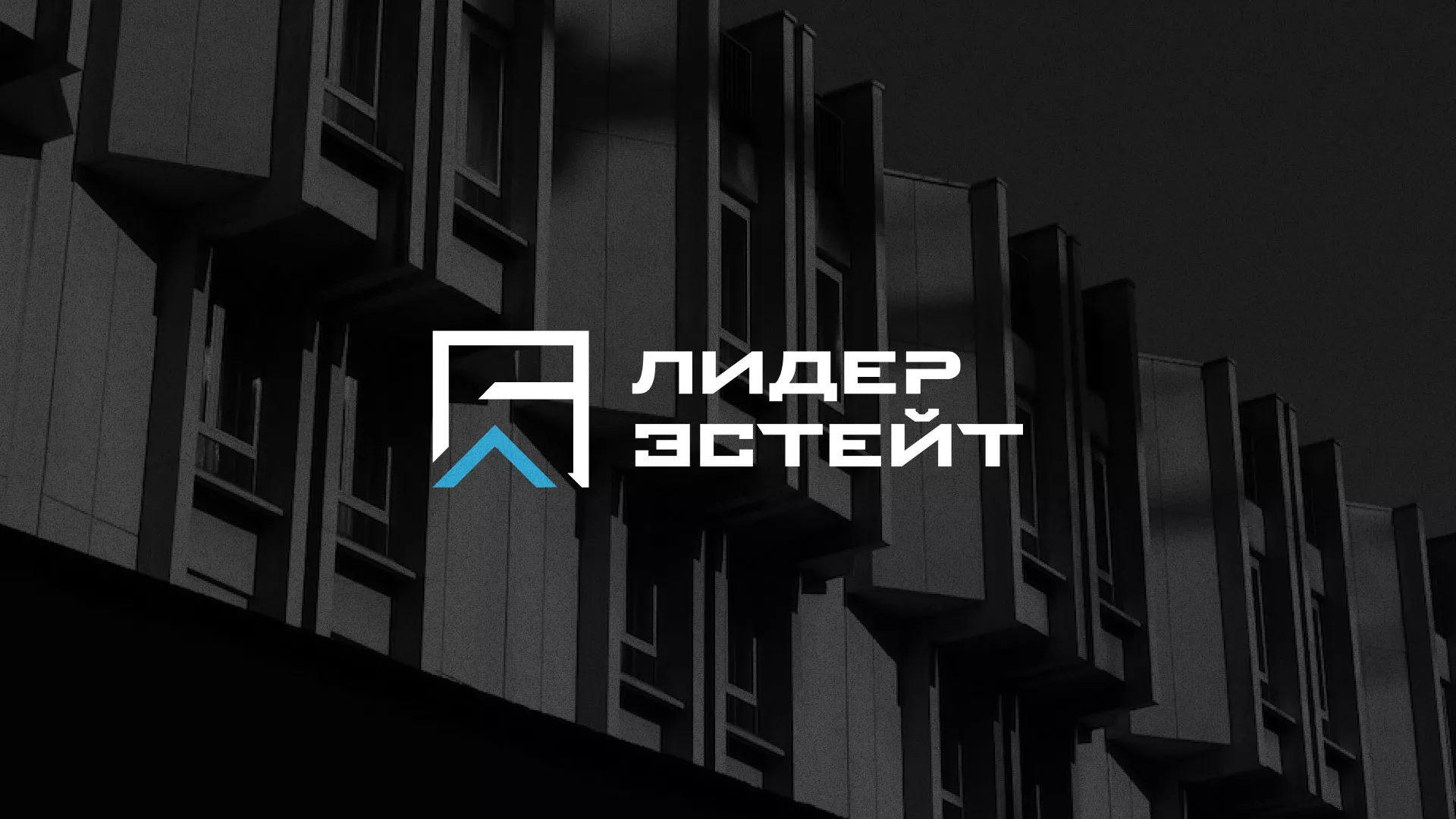 Разработка логотипа агентства недвижимости «Лидер Эстейт» в Боровске